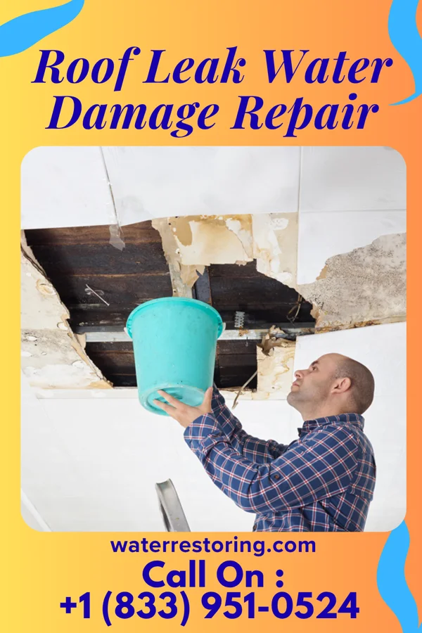 Roof Leak Water Damage Repair in Pond Creek, OK